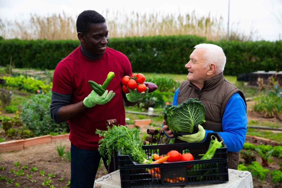 5 Dental Health Tips for Summer