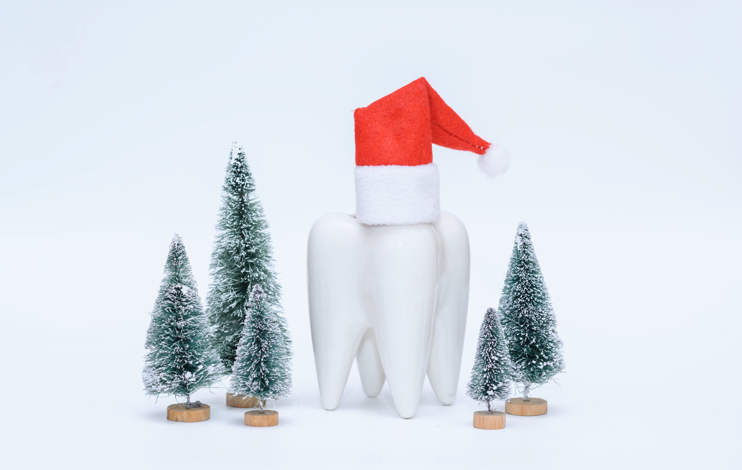 White ceramic dog wearing red Santa hat surrounded by miniature evergreen trees on snow.
